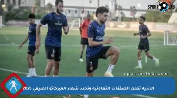 الأندية تعلن الصفقات التعاونية وتحدد شعار الميركاتو الصيفي 2025